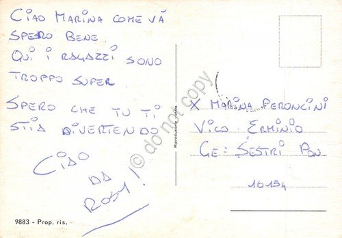 Cartolina Castelnuovo Dauno vedute Le Terrazze | Immagine Gallery 2