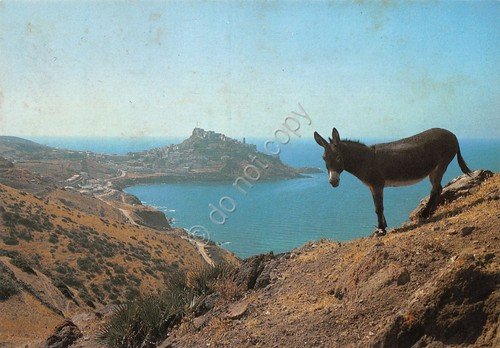Cartolina Castelsardo Panorama con asino | Immagine principale