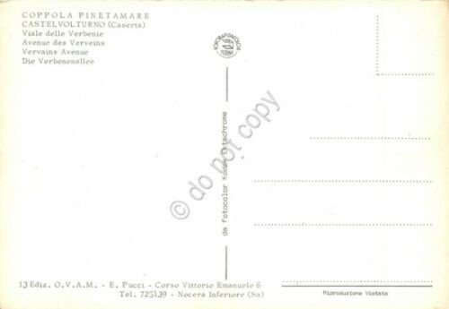 Cartolina Castelvolturno Coppola Pinetamare Viale delle Verbenie | Immagine Gallery 2