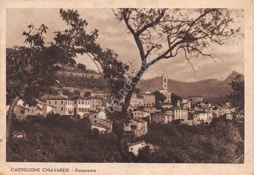 Cartolina Castiglione Chiavarese panorama 1953