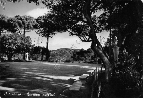 Cartolina Catanzaro Giardini pubblici 1952 | Immagine principale