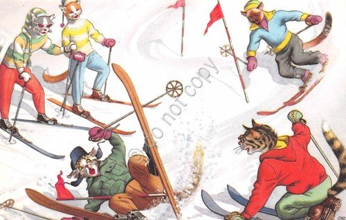 Cartolina cats gatti sci sciatori illustrata