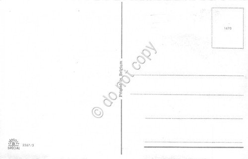 Cartolina cats gatti sci sciatori illustrata