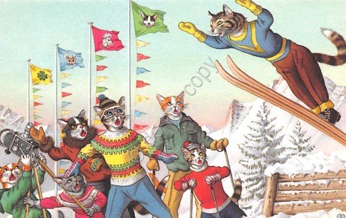 Cartolina cats gatti sci sciatori illustrata 3 | Immagine principale