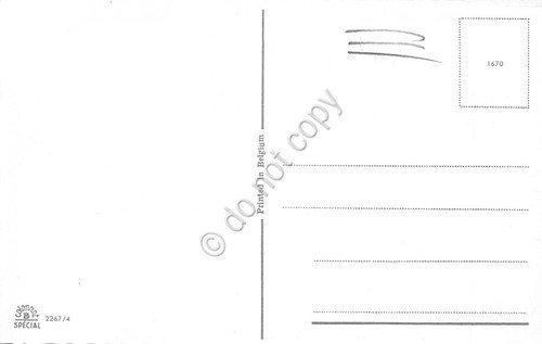 Cartolina cats gatti sci sciatori illustrata 3 | Immagine Gallery 2