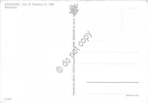Cartolina Cavalese Vedutine | Immagine Gallery 2
