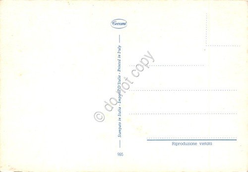 Cartolina Cavallo bianco al pascolo Ed Cecami | Immagine Gallery 2