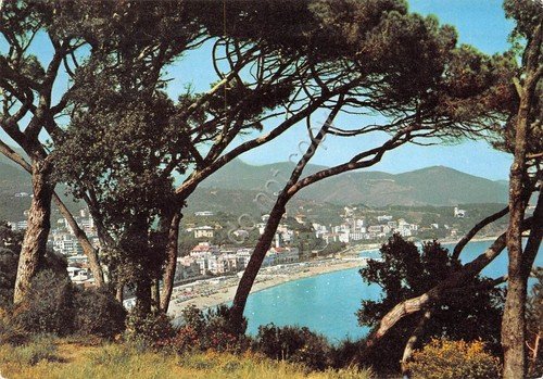 Cartolina Celle Ligure panorama 1967 (Savona)