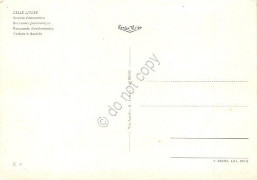 Cartolina Celle Ligure Panorama con palma (Savona)