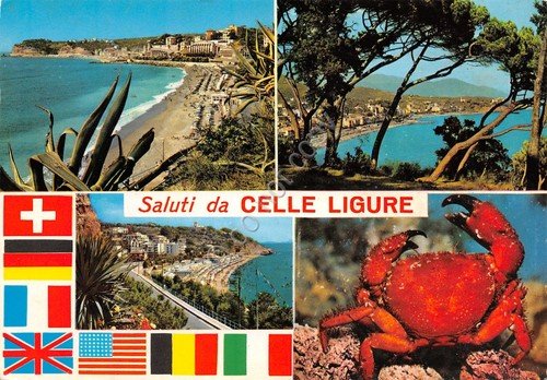 Cartolina Celle Ligure vedute varie 1980 bandiere (Savona) | Immagine principale