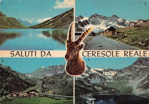 Cartolina Ceresole Reale vedute Lago Nivolet Ghiacciai Chiapili stambecco