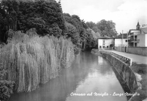 Cartolina Cernusco sul Naviglio lungo il Po