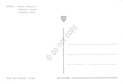 Cartolina Cesena Viale Mazzoni anni '50 | Immagine Gallery 2