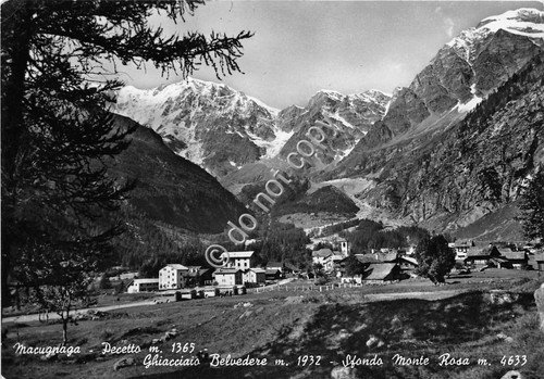 Cartolina Champoluc Panorama | Immagine principale