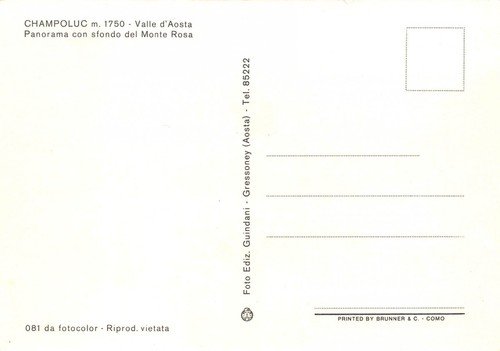 Cartolina Champoluc Panorama con Monte Rosa (Aosta)