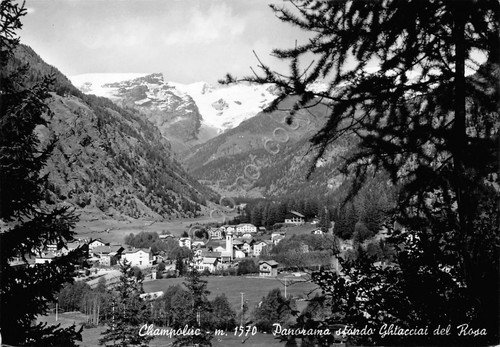 Cartolina Champoluc Panorama e Ghiacciai del Rosa 1956