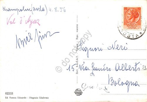 Cartolina Champoluc Panorama e Ghiacciai del Rosa 1956