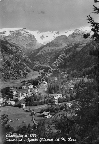 Cartolina Champoluc panorama Ghiacciai Monte Rosa 1952 | Immagine principale