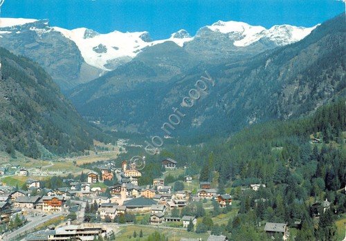 Cartolina Champoluc panorama parziale Monte Rosa 1982 (Aosta)