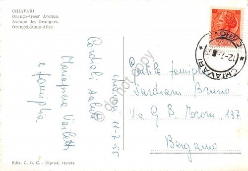 Cartolina Chiavari Viale degli aranci 1955