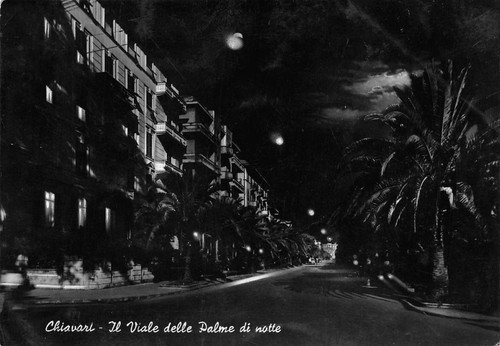 Cartolina Chiavari Viale delle Palme Notturno 1957 (Genova) | Immagine principale