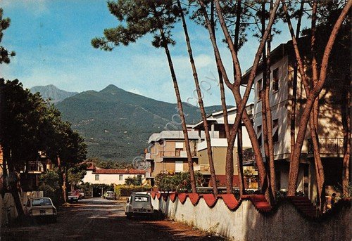 Cartolina Cinquale Via Cateratte 1983 | Immagine principale
