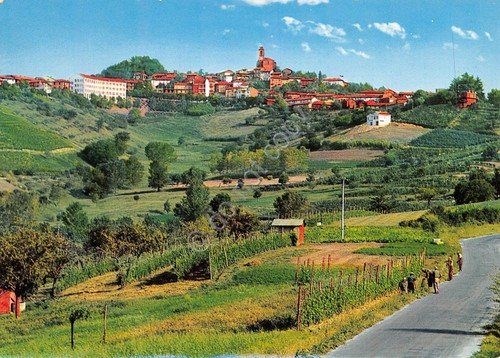 Cartolina Cocconato Panorama di Levante | Immagine principale