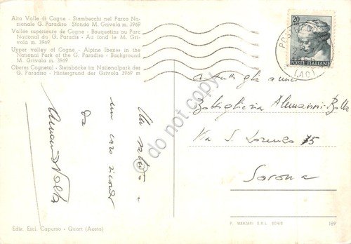 Cartolina Cogne Alta Valle Stambecchi al Parco Nazionale G. Paradiso … | Immagine Gallery 2