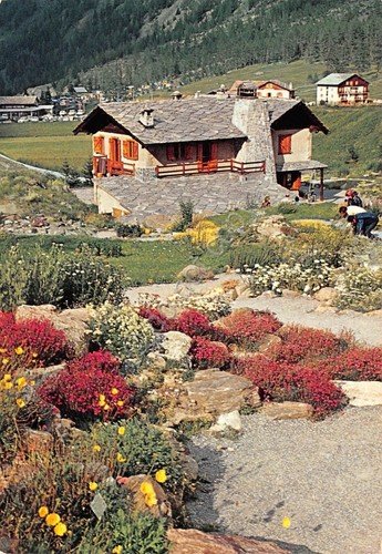 Cartolina Cogne Valnontey Giardino Botanico Paradisia | Immagine principale