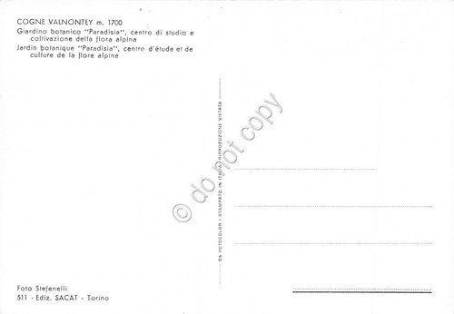 Cartolina Cogne Valnontey Giardino Botanico Paradisia | Immagine Gallery 2
