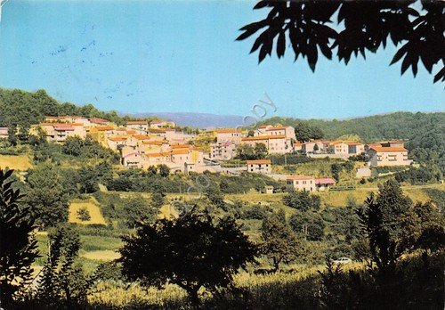 Cartolina Colosimi Pre Sila panorama 1982