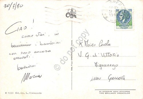 Cartolina Coredo veduta e stelle alpine 1980 (Trento)