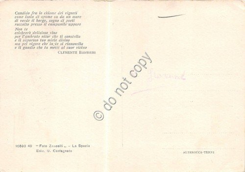 Cartolina Corniglia Cinque Terre Panorama Poesia C. Barbieri al retro