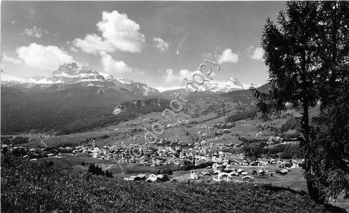 Cartolina Cortina D'Ampezzo - Croda da Lago - 1955 (Belluno) | Immagine principale