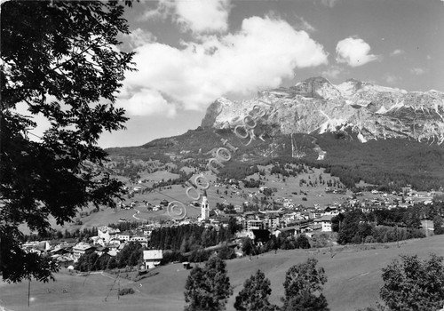 Cartolina Cortina Panorama Tofane 1956 Foto Ghedina (Belluno)