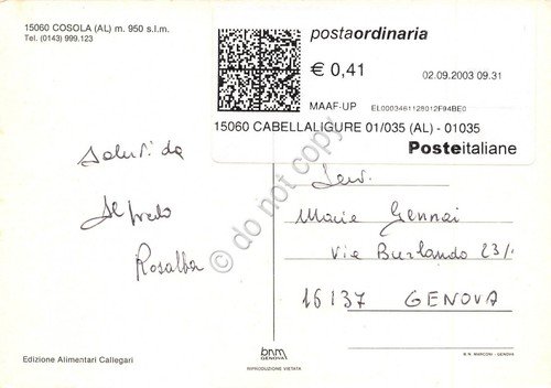 Cartolina Cosola panorama 2003
