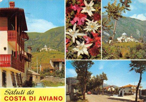 Cartolina Costa di Aviano vedute paese chalet fiori 1969