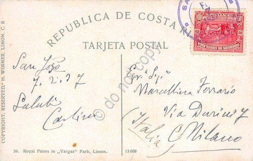 Cartolina Costa Rica Limon Palamas in Vargas Park 1927