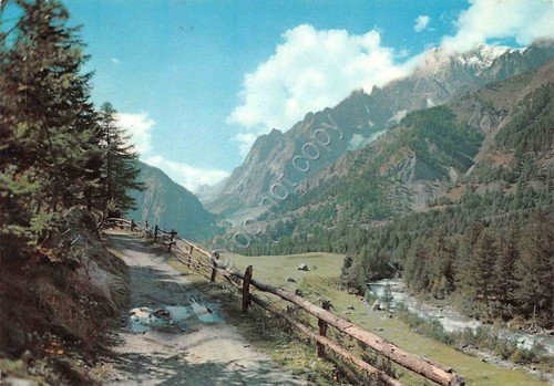 Cartolina Courmayeur nella Val Ferret 1963