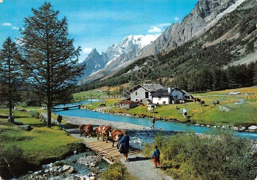 Cartolina Courmayeur Pascoli mucche animata 1968 | Immagine principale