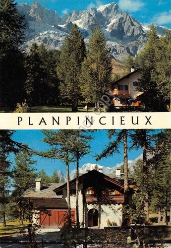 Cartolina Courmayeur Planpincieux Villa in pineta Les Grandes Jorasses | Immagine principale