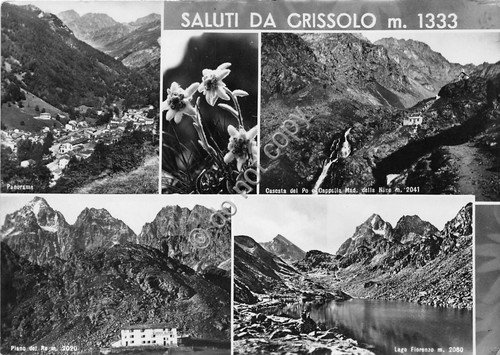 Cartolina Crissono Vedutine 1952 | Immagine principale