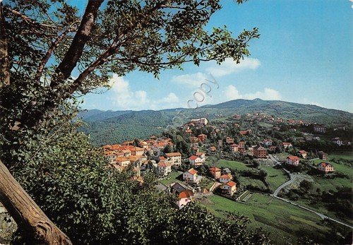 Cartolina Crocefieschi panorama 1976