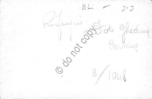 Cartolina Croda da Lago Rifugio Palmieri (Belluno) | Immagine Gallery 2