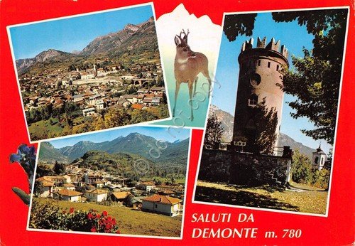 Cartolina Demonte Valle Stura 4 vedute grinza (Cuneo) | Immagine principale