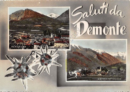 Cartolina Demonte vedute colorata (Cuneo) | Immagine Gallery 1
