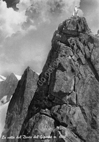 Cartolina Dente del Gigante Vetta Ed. SACAT (Aosta)