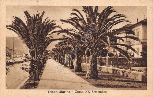 Cartolina Diano Corso XX Settembre 1936 | Immagine Gallery 1