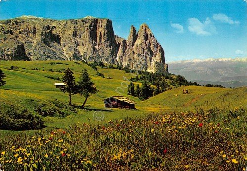 Cartolina Dolomiti Alpe di Siusi Scillar 1975 (Bolzano)
