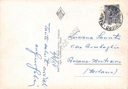 Cartolina Dolomiti Cimon della Pala Pascolo mucche 1958